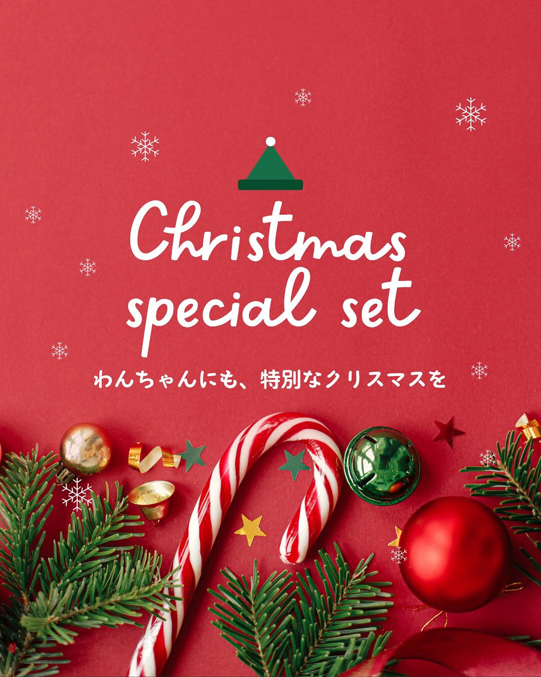 🎄🎅🏻クリスマス限定セット予約販売スタート🐶🐾