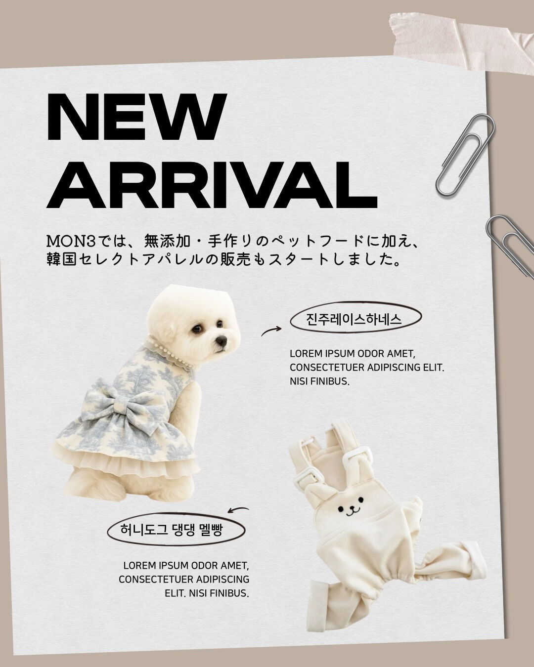 MON3では、無添加・手作りのペットフードに加え、