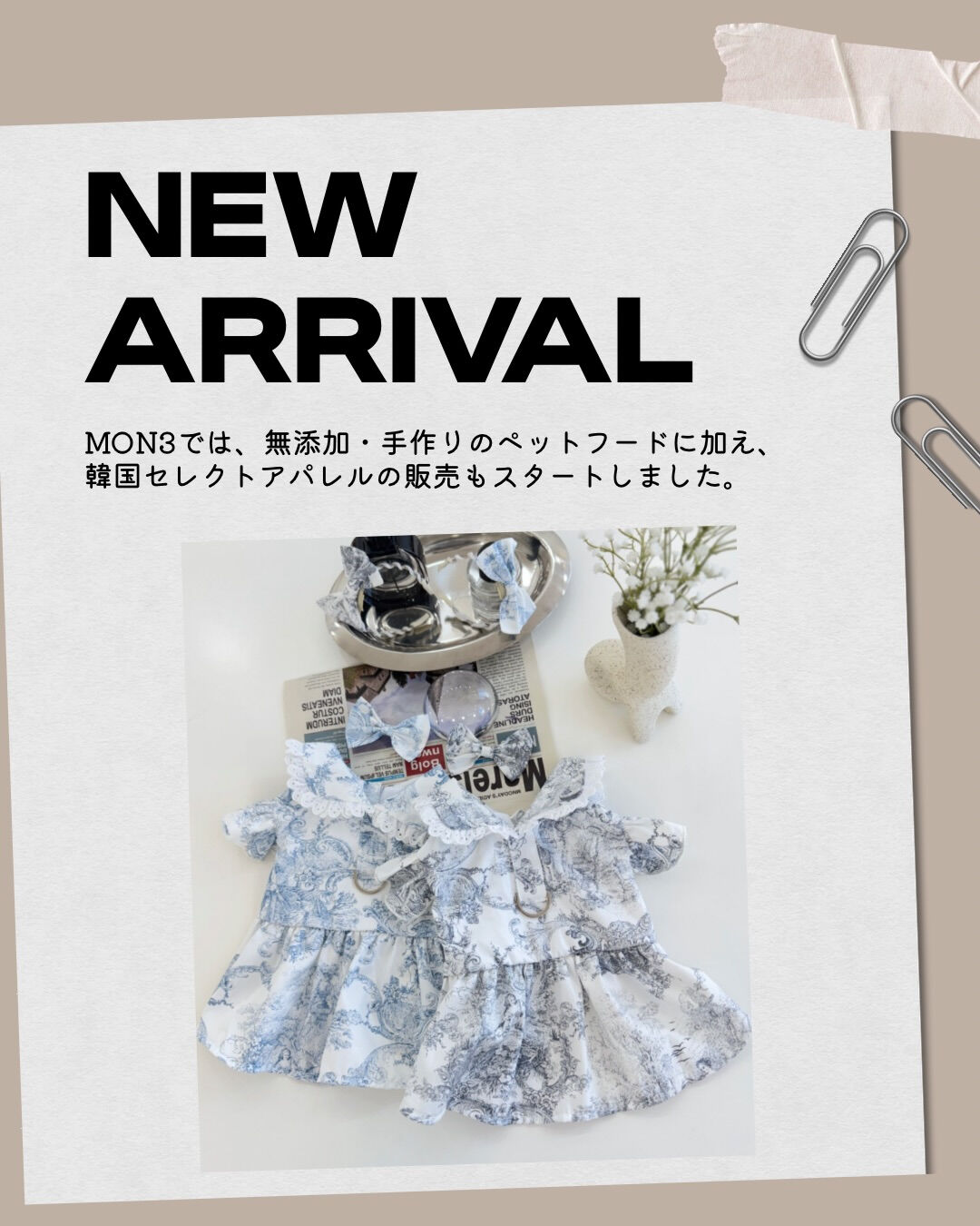 MON3では、無添加・手作りのペットフードに加え、