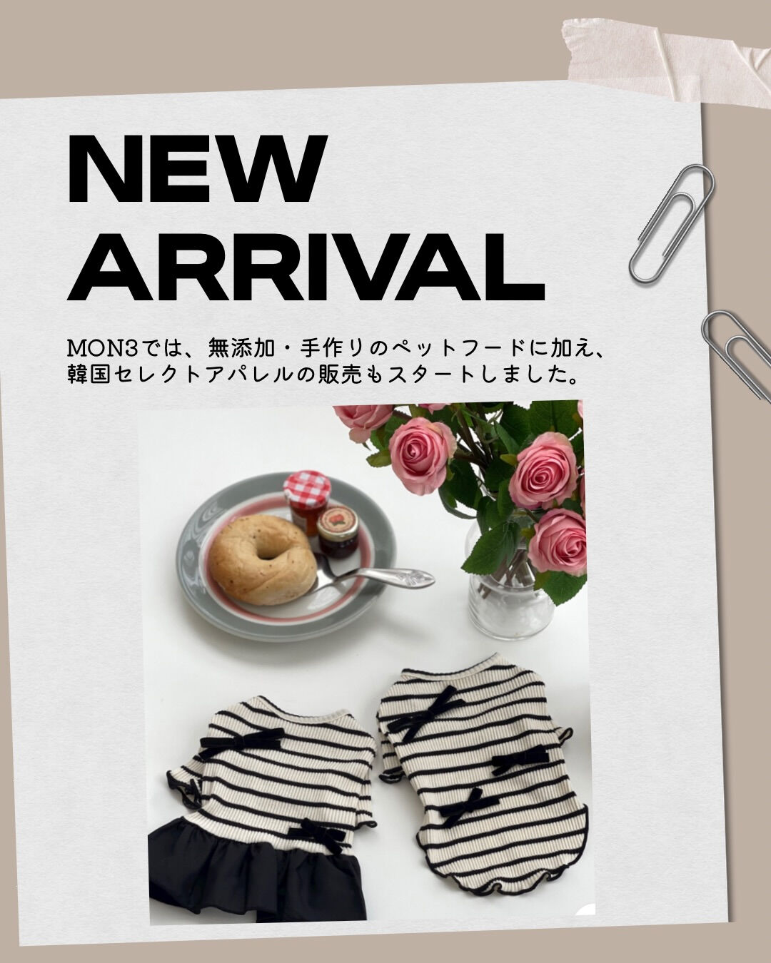 MON3では、無添加・手作りのペットフードに加え、