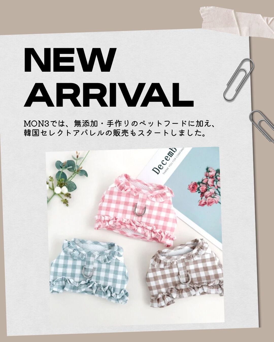 MON3では、無添加・手作りのペットフードに加え、